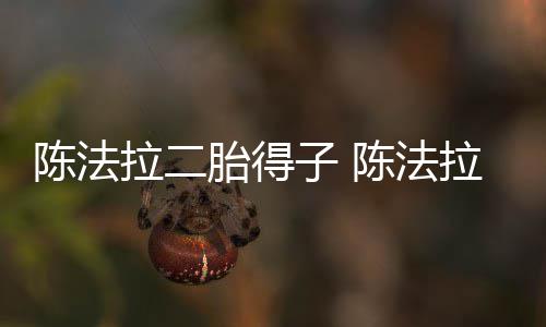 子 公是胎得谁陈法陈法拉二拉老