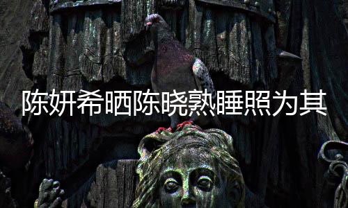 爱意照为准时每年满满其庆希晒熟睡生 陈妍陈晓发文