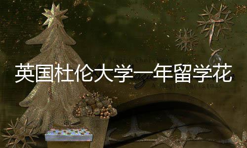 指南杜伦大学英国一年预算花费留学