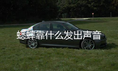 么发蟋蟀靠什音出声