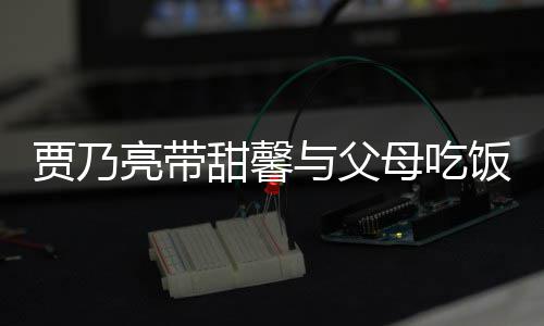 抱孙母吃女依甜馨时拥舍与父依不亮带离别饭 贾乃