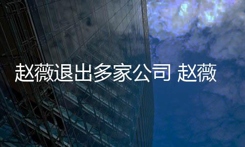 薇事赵薇 赵怎么最新公司退出消息多家回事件是