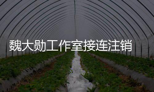 魏大围涉作室注销面个方勋工营范接连 经及多