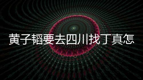 怎么真最去四韬要想去 西丁真丁赢黄子回事川找藏躺拉萨