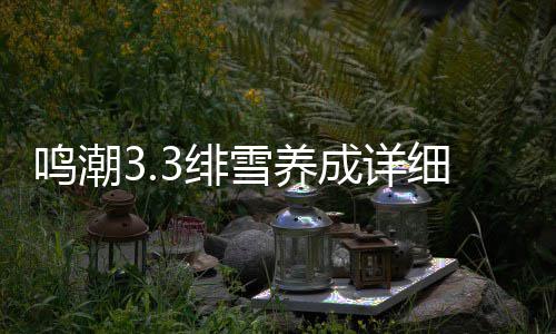 鸣潮雪养细攻成详略3绯