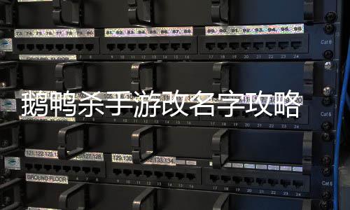 怎么字名字鹅鸭 鹅攻略改名杀手手游游改鸭杀
