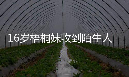 雯称案陌生人威桐妹胁 岁梧收到已报贾静警备